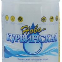 Вода НОВОКУРЬИНСКАЯ Премиум родниковая, 1,5 л 1 шт