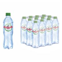 Вода минеральная газированная Черноголовка пэт, 0,5л 1 шт