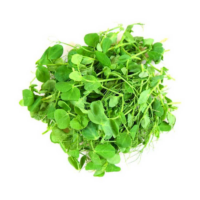 Микрозелень горошка EVERGREEN_KO, 40г 1 шт
