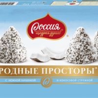 Шоколадные конфеты Россия-Щедрая душа! Родные Просторы с кокосом 172 г 1 шт