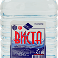 Вода питьевая Виста артезианская 1 кат негаз 1л пб 1 шт