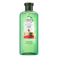 Шампунь Herbal Еssences Защита цвета и блеск алоэ-манго 380 мл 1 шт