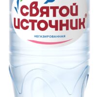 Вода питьевая природная Святой источник артезианская негазированная 1л 1 шт